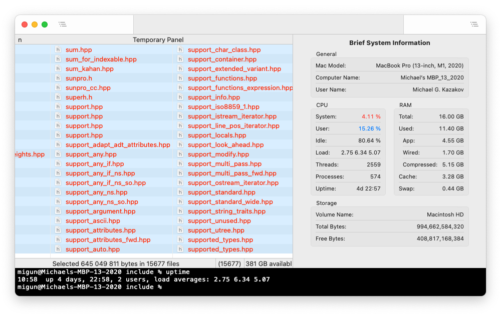 Overlapped terminal and temporary panel